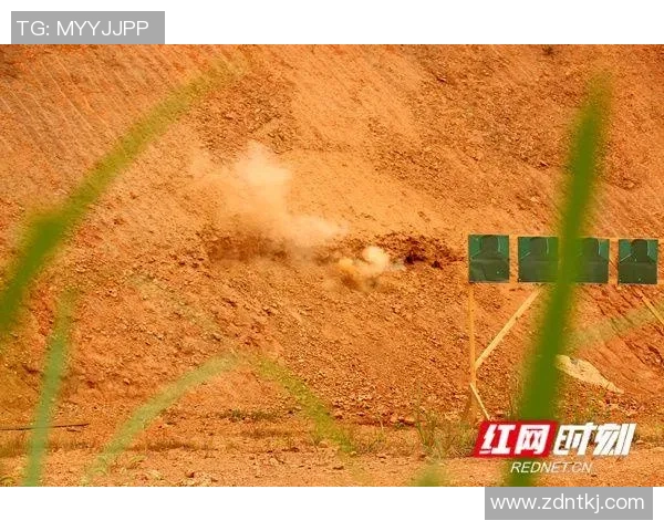 杭州极限运动队战术解析与训练策略探讨之旅