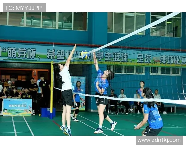 成都排球队的力量揭秘：排球巨献背后的奋斗与荣耀