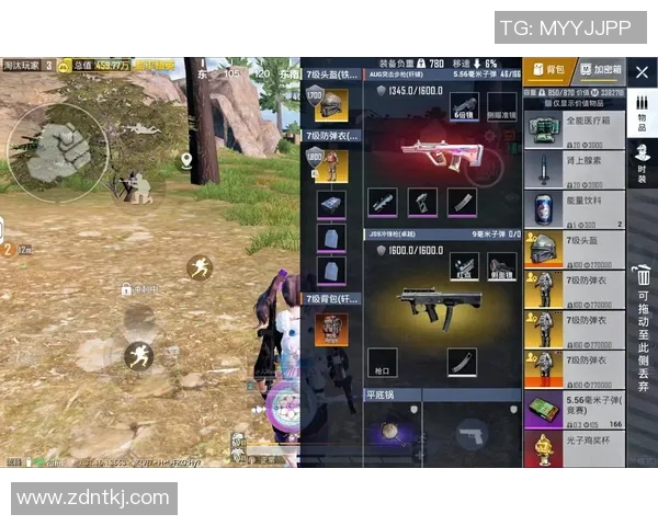 热议和平精英V5版本个人能力的全面提升与变革探讨 热议和平精英V5版本个人能力的全面提升与变革探讨