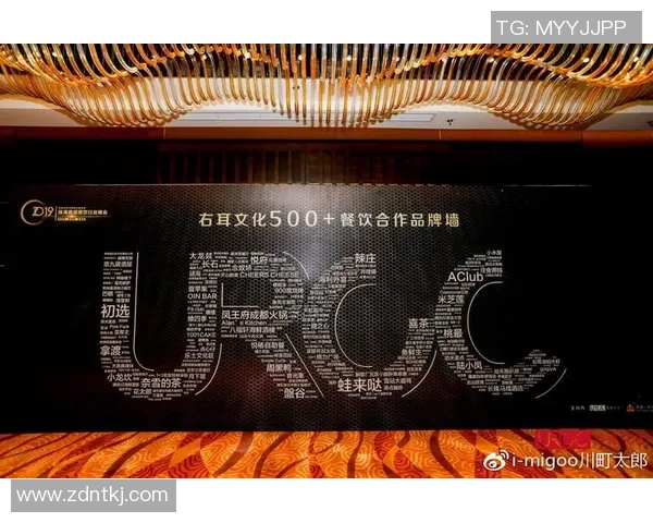 深圳排球队的崛起之路：从默默无闻到世锦赛的辉煌历程